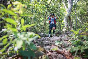 BIB: 
                            <button type="button" onclick="openModal(27701144)" class="btn btn-primary btn-sm float-right btn-popup" data-toggle="modal" data-target=".modal-high-quality">
                        <i class="fas fa-shopping-cart"></i> Add to Cart
                    </button>
                                            <button type="button" onclick="isThisMe(27701144, true)" class="btn btn-success btn-sm float-right btn-popup btn-isme hidden" data-toggle="tooltip" data-placement="bottom" title="นี่คือรูปของคุณใช่ไหม คลิกที่นี่เพื่อเอาเข้าอัลบั้ม">
                        <i class="fas fa-plus"></i> Add to album
                    </button>
                    <button type="button" onclick="isThisMe(27701144, false)" class="btn btn-warning btn-sm float-right btn-popup btn-isnotme hidden">
                        <i class="fas fa-ban"></i> Remove from album
                    </button>